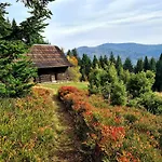 Forest House Деревянный коттедж