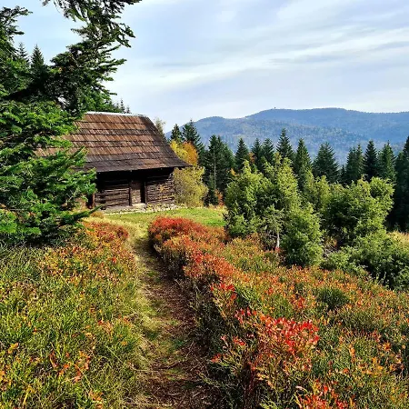 Forest House 롯지