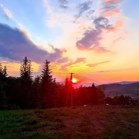 Hytte Forest House *