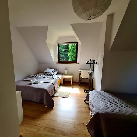Forest House Деревянный коттедж *