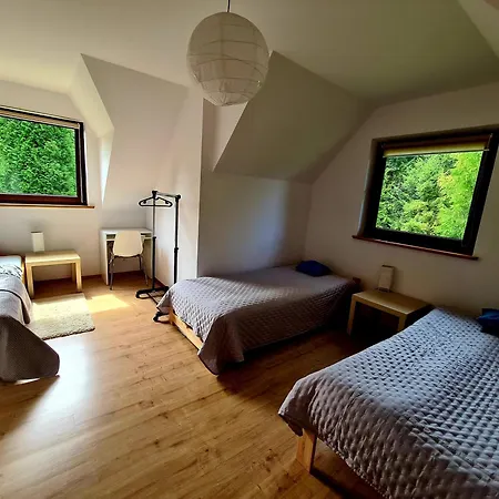 Domek letniskowy Forest House *