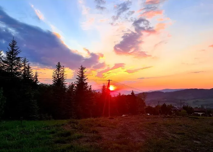 Lodge Forest House *